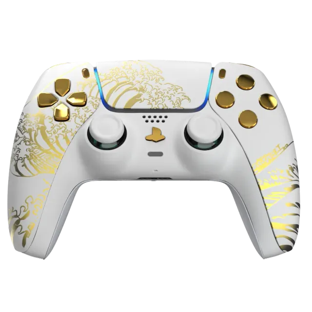 Burn Controllers EVO manette PS5 DualSense à palettes
